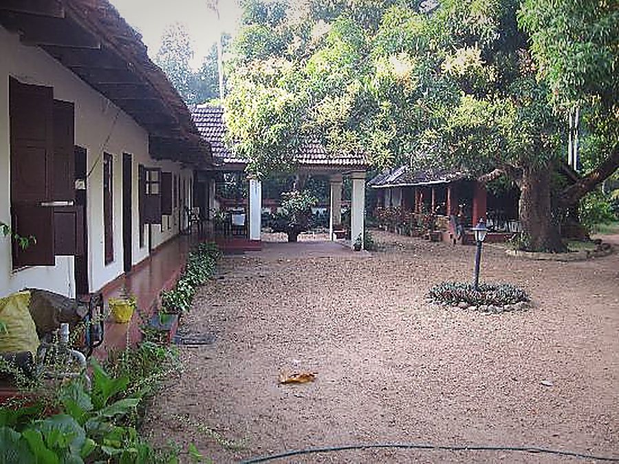 The inner courtyard between the house's wings, shaded by a large tree