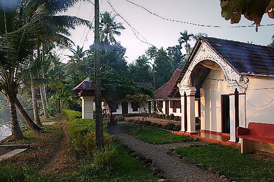 The garden path lined with palms, leading to one of the cottages
